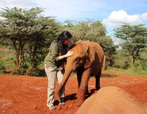 joan and elephant