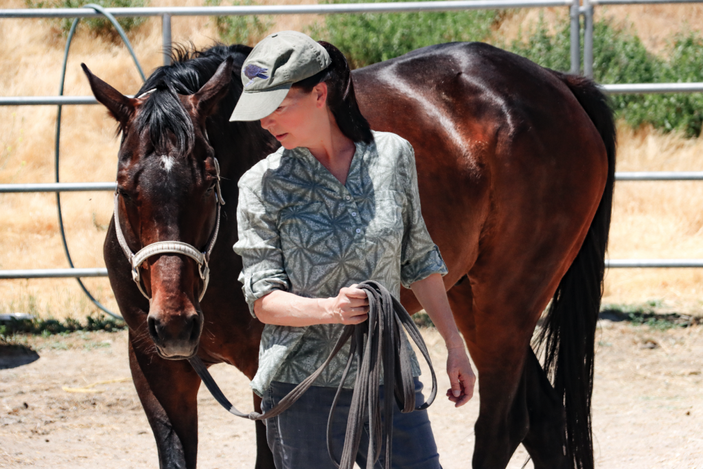 Joan and her horse Drakkar