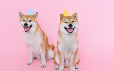 Better Animal Communication Tip #9: Celebrate!