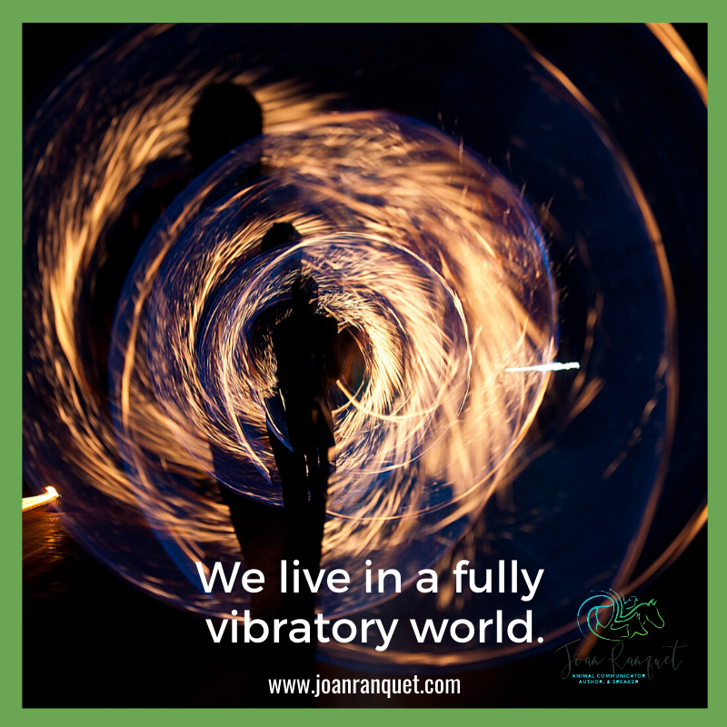 energy vibrations