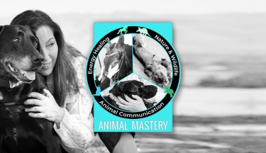 Animal Mastery Program