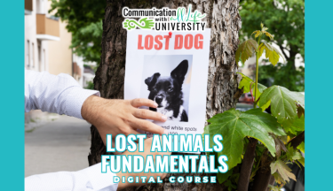 Lost Animals Fundamentals
