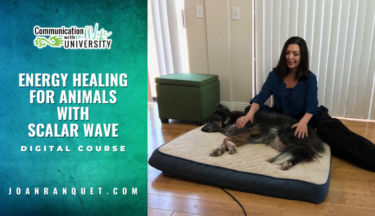 Energy Healing for Animals with Scalar Wave