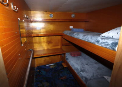 Dolphin Dream bunk bed room