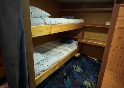 Dolphin Dream boat Bunk Beds