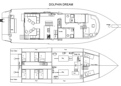 Dolphin Dream boat layout specs