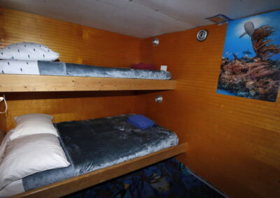 Dolphin Dream shared bunk bed room