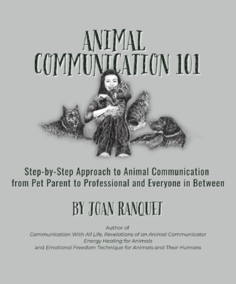 Animal Communication 101, by Joan Ranquet, eBook cover