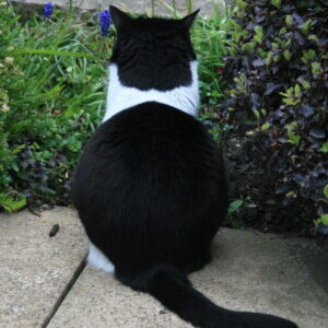 Profile photo of Anita